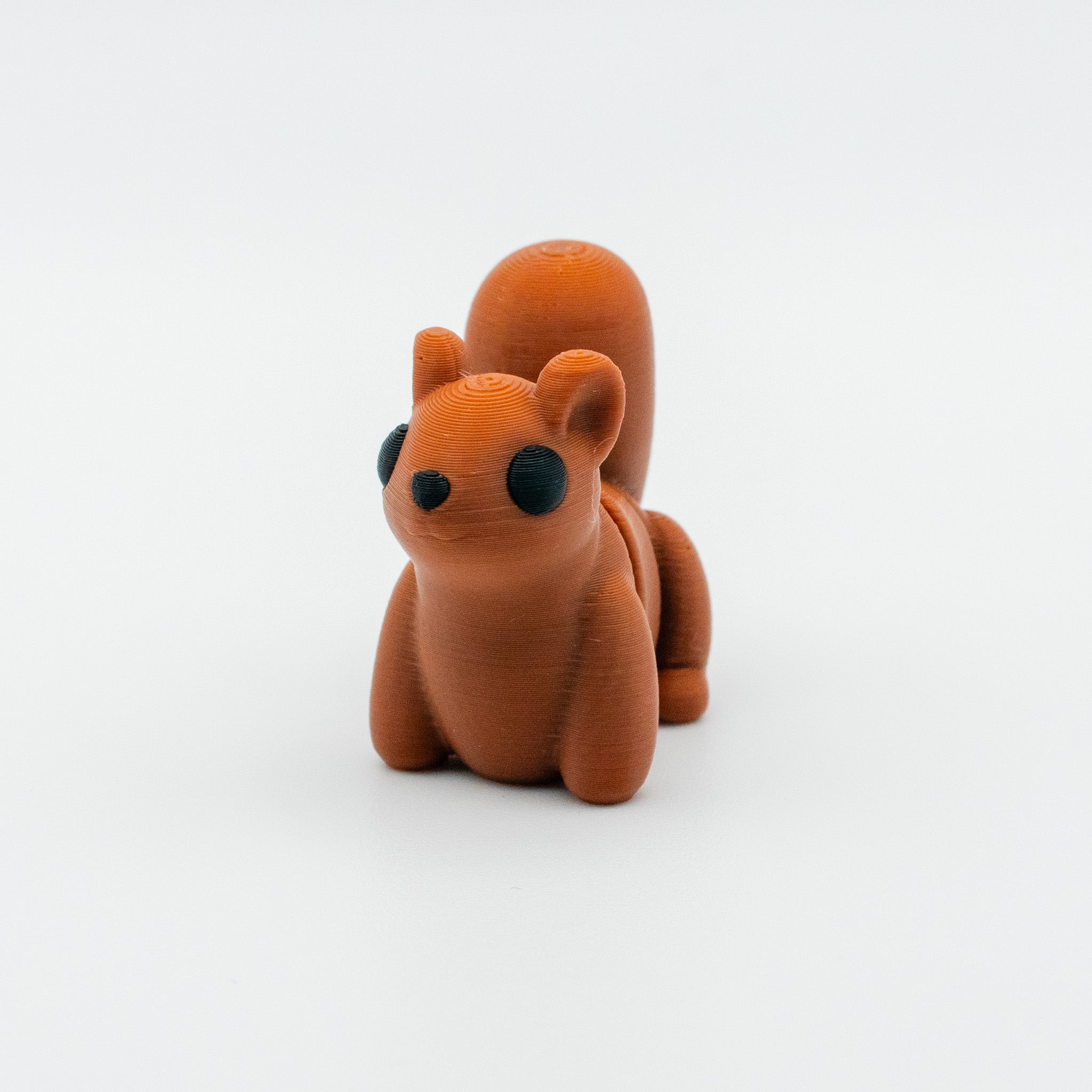 Acorn the Curious Squirrel