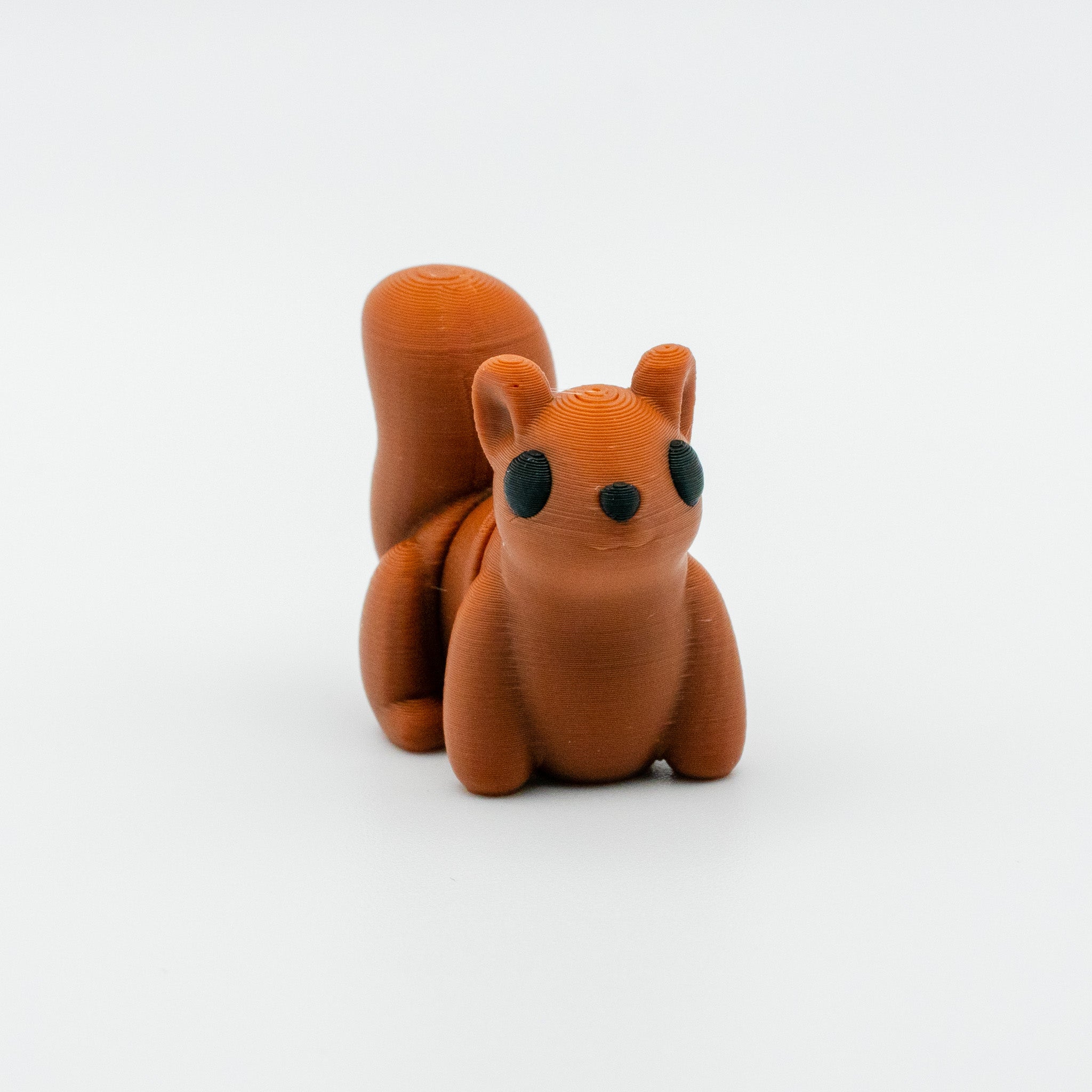 Acorn the Curious Squirrel