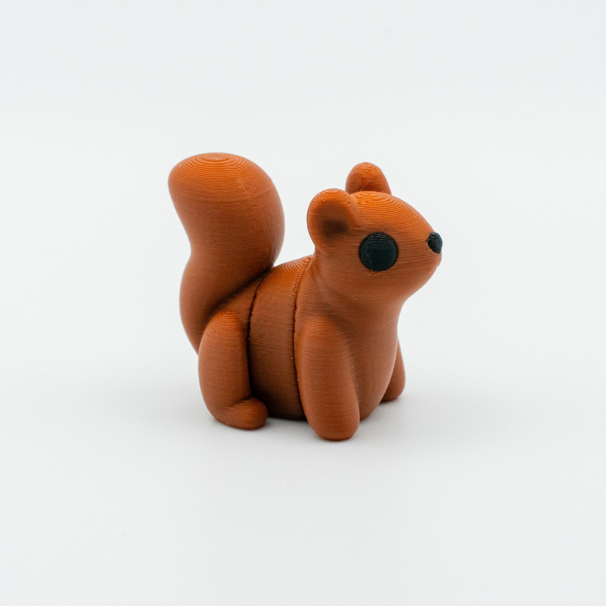 Acorn the Curious Squirrel