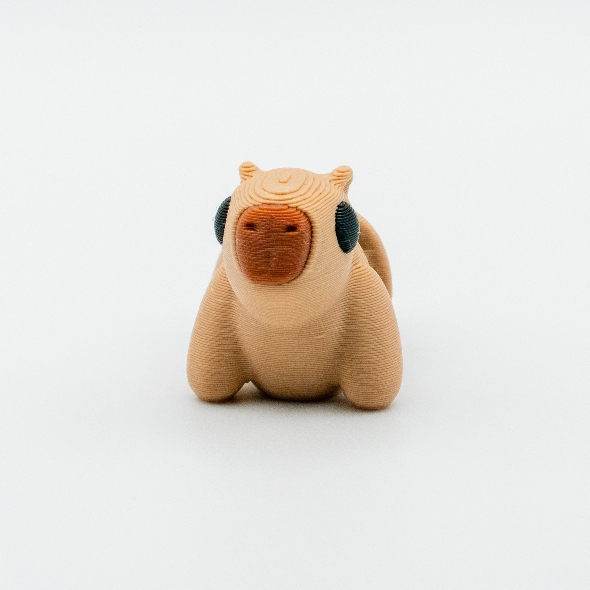 Churro the Capybara