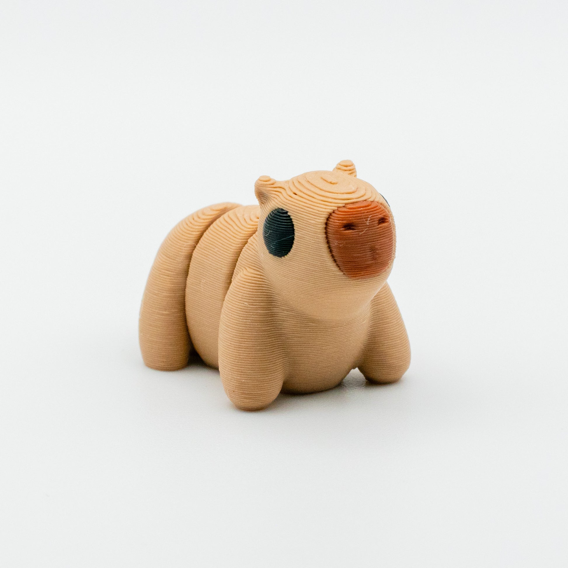 Churro the Capybara