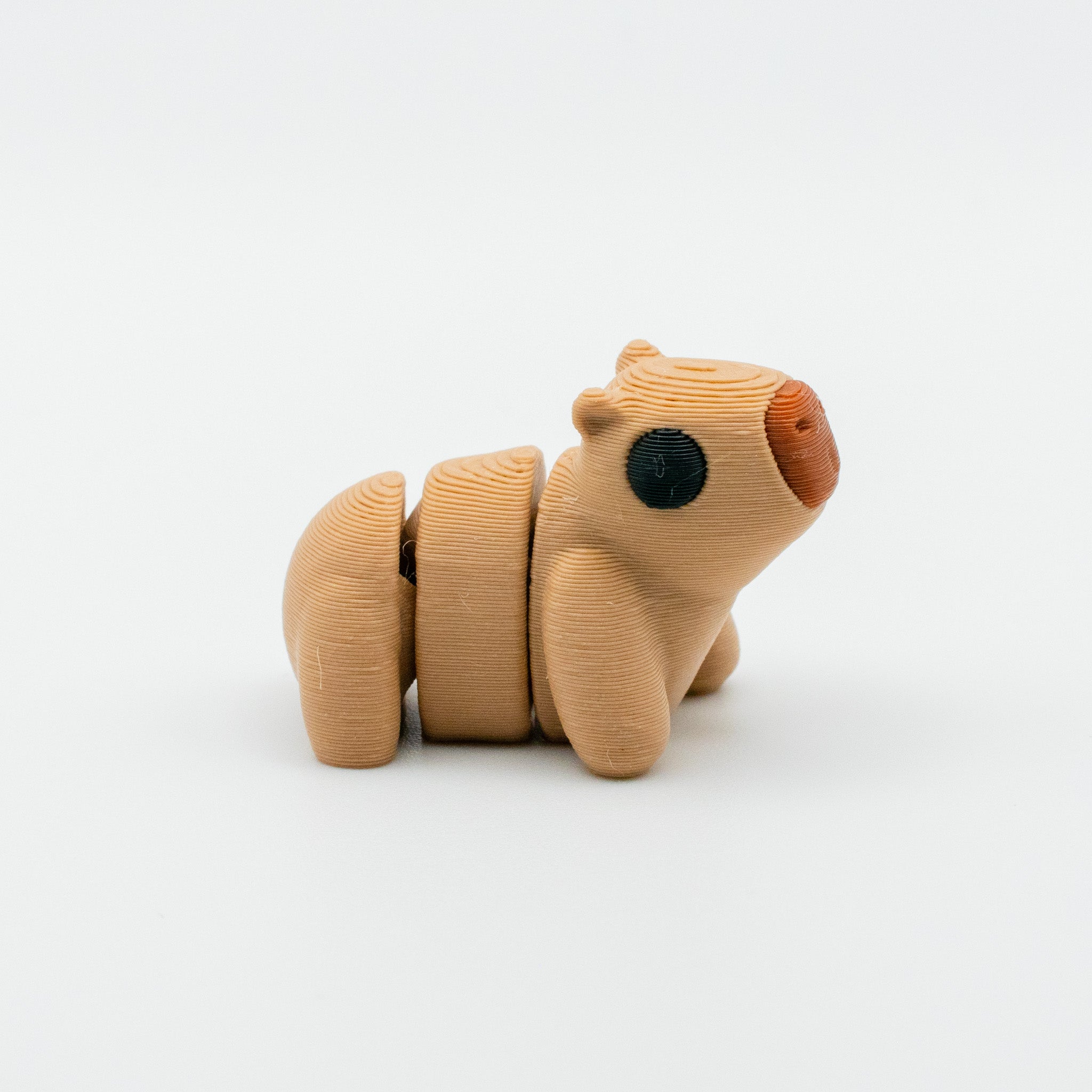Churro the Capybara