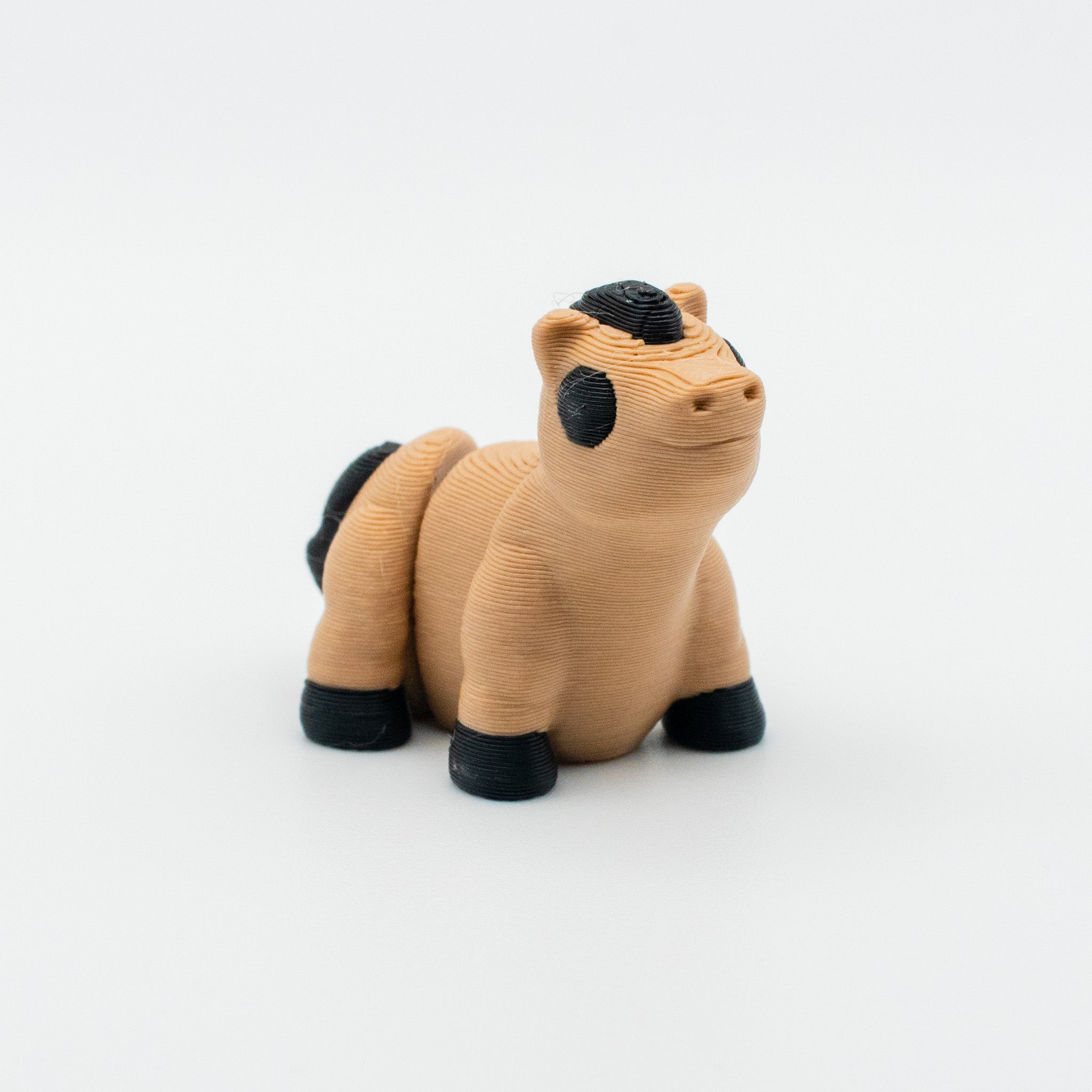 Nugget Neigh-Neigh – The Adorable Mini Horse Buddy