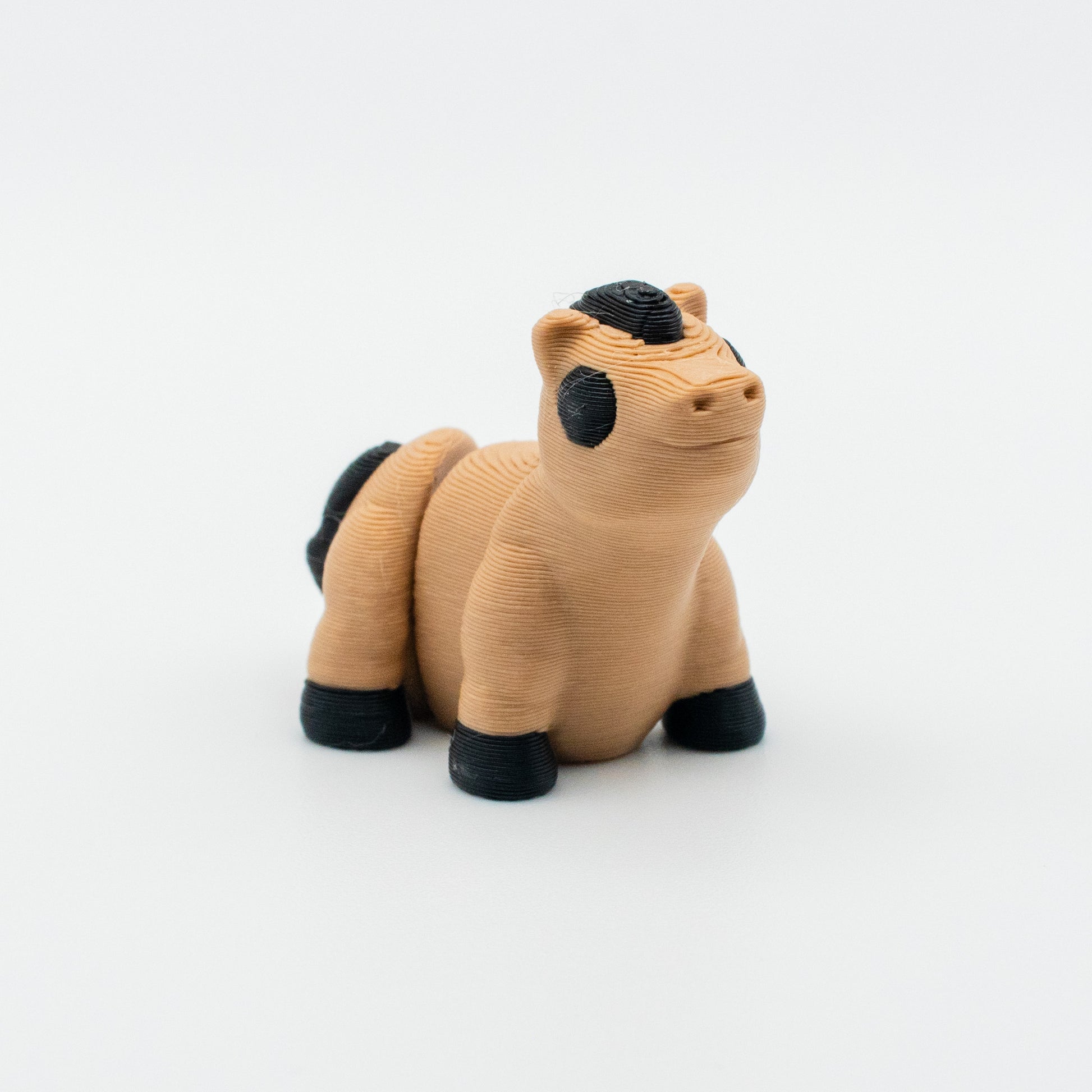 Nugget Neigh-Neigh – The Adorable Mini Horse Buddy