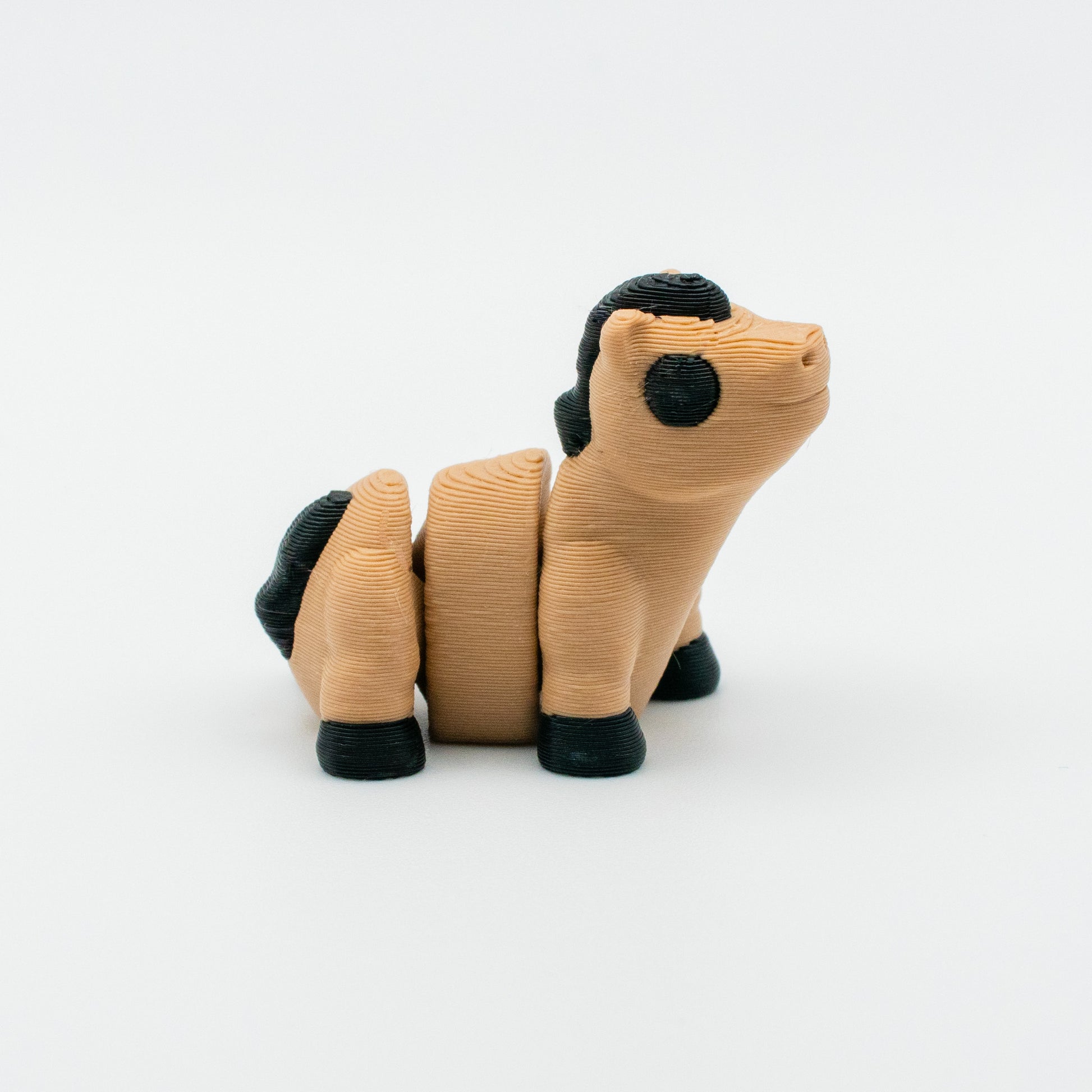 Nugget Neigh-Neigh – The Adorable Mini Horse Buddy
