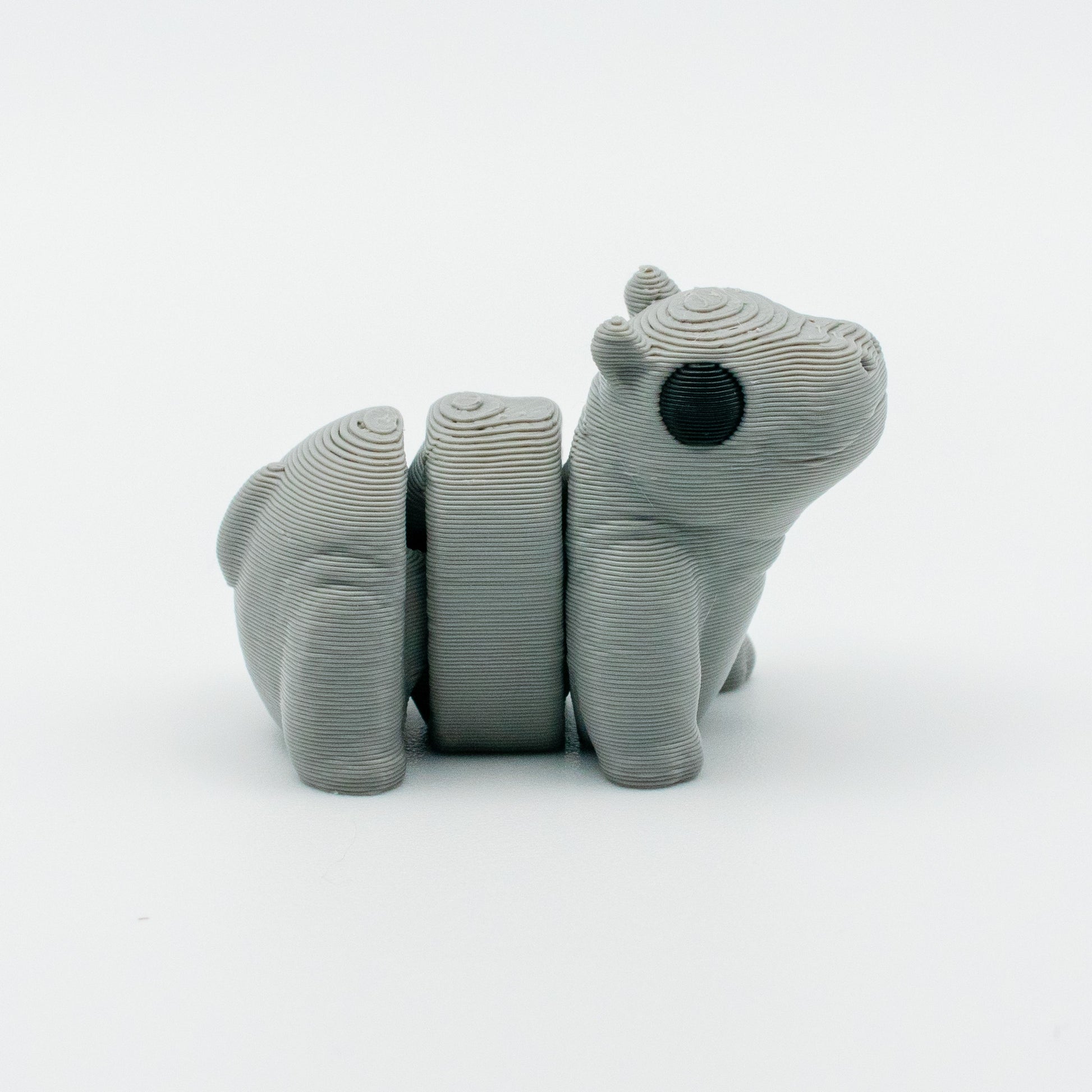 WiggleSnout 🦛 the Pocket Hippo