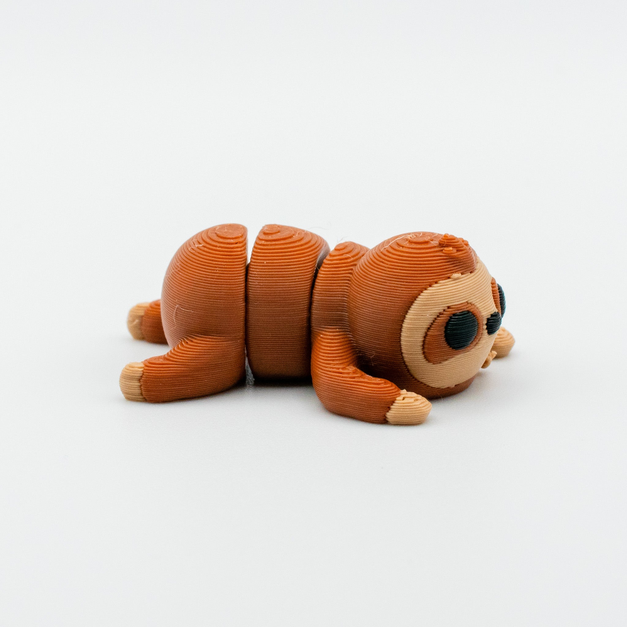 Mossy Momo – The Gentle Jungle Sloth