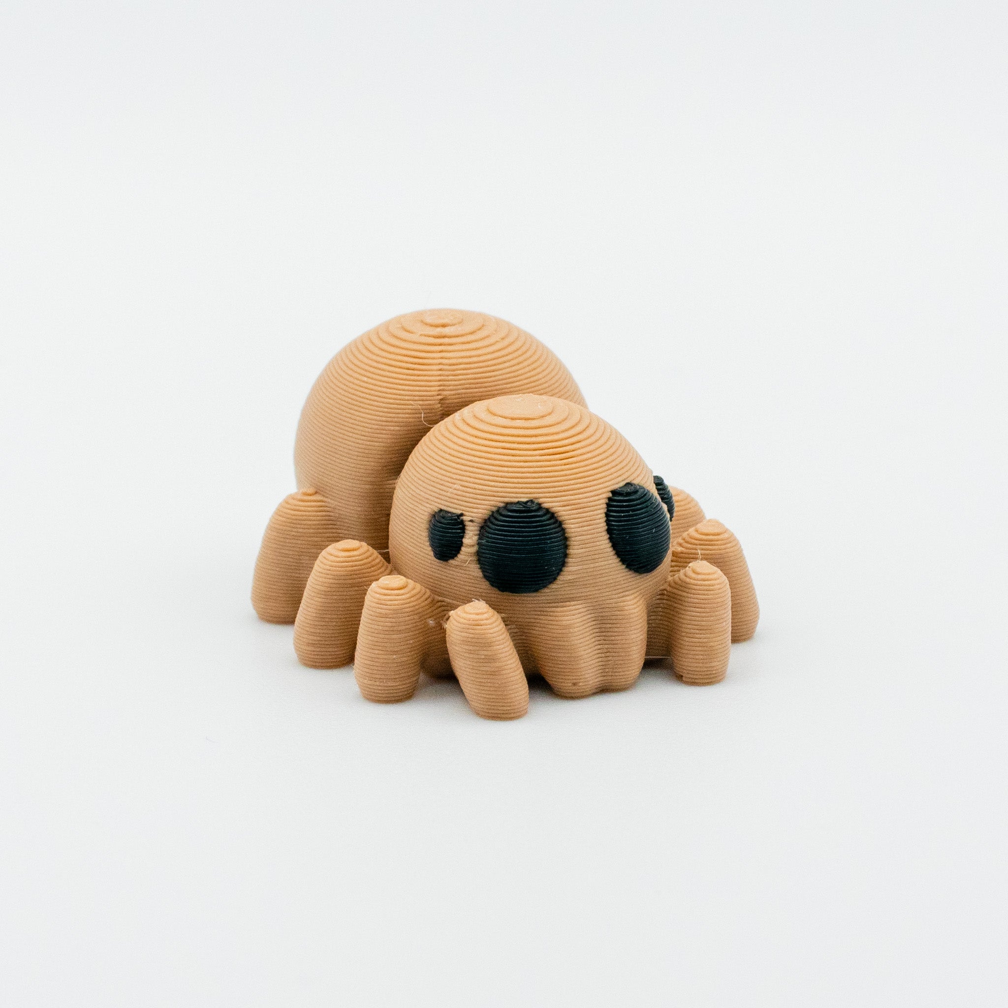 Jumping Spider