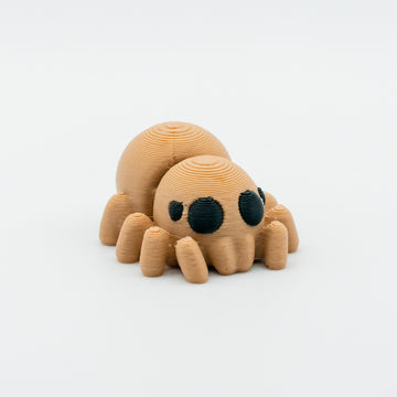 Jumping Spider — Jumpy McFlufflegs – Your Friendly Jumping Spider Pal