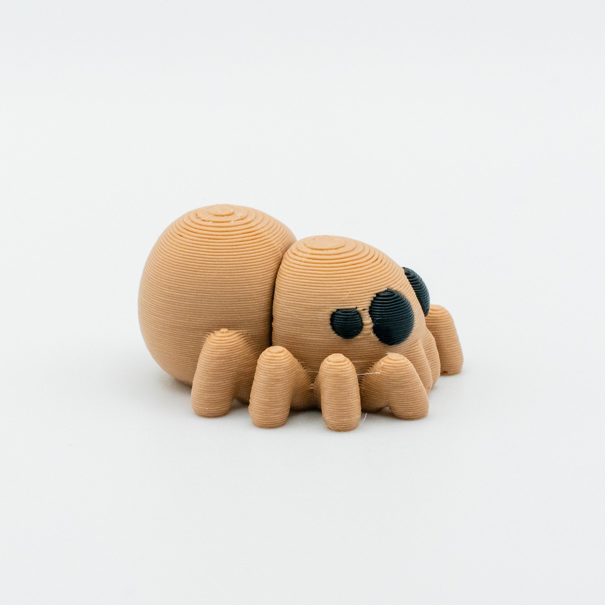 Jumping Spider