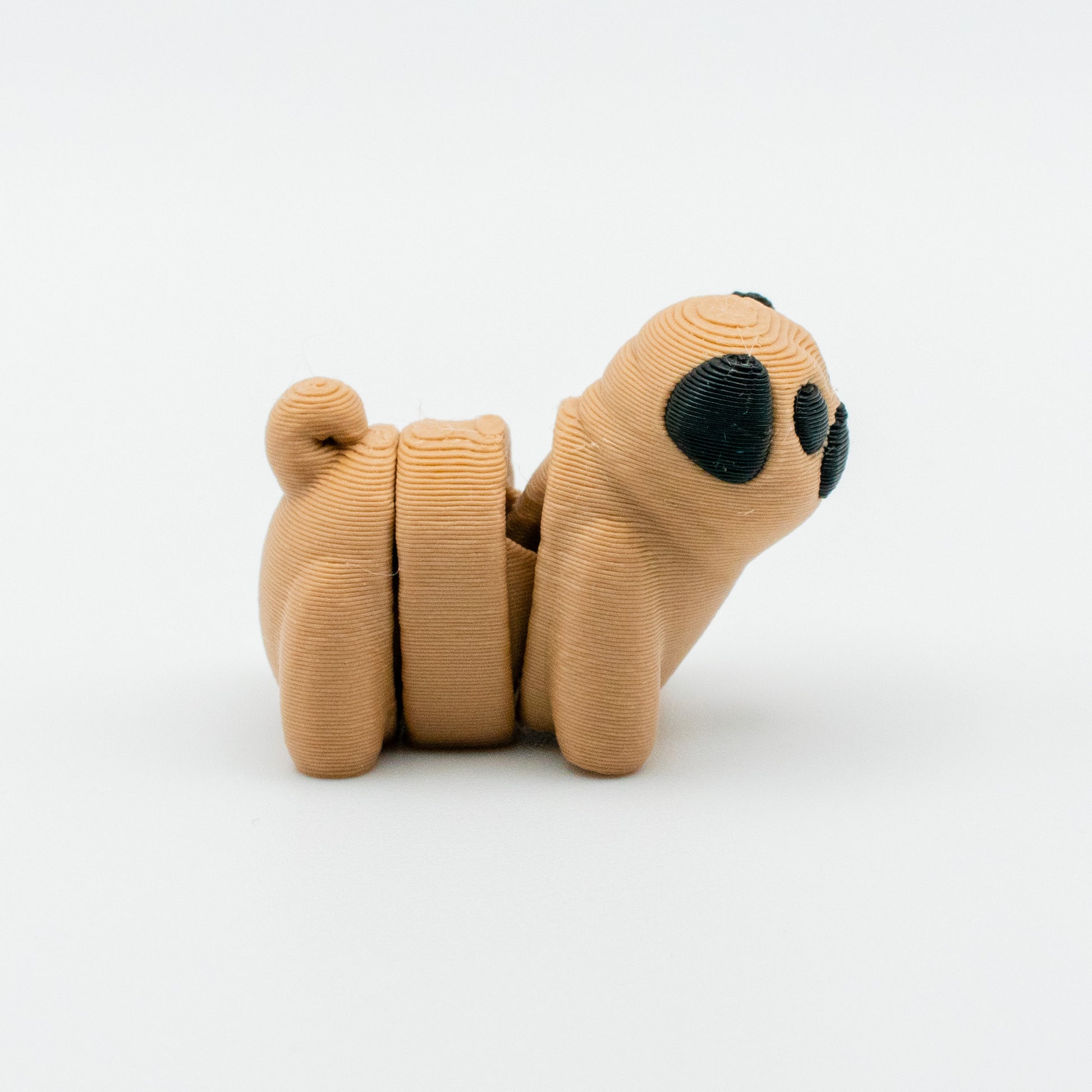 Pugsy Wugsy – The Pocket-Sized Pug Pal