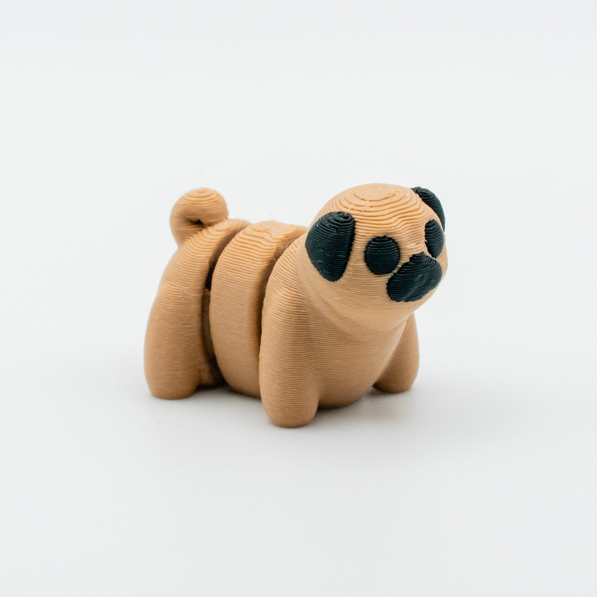 Pugsy Wugsy – The Pocket-Sized Pug Pal
