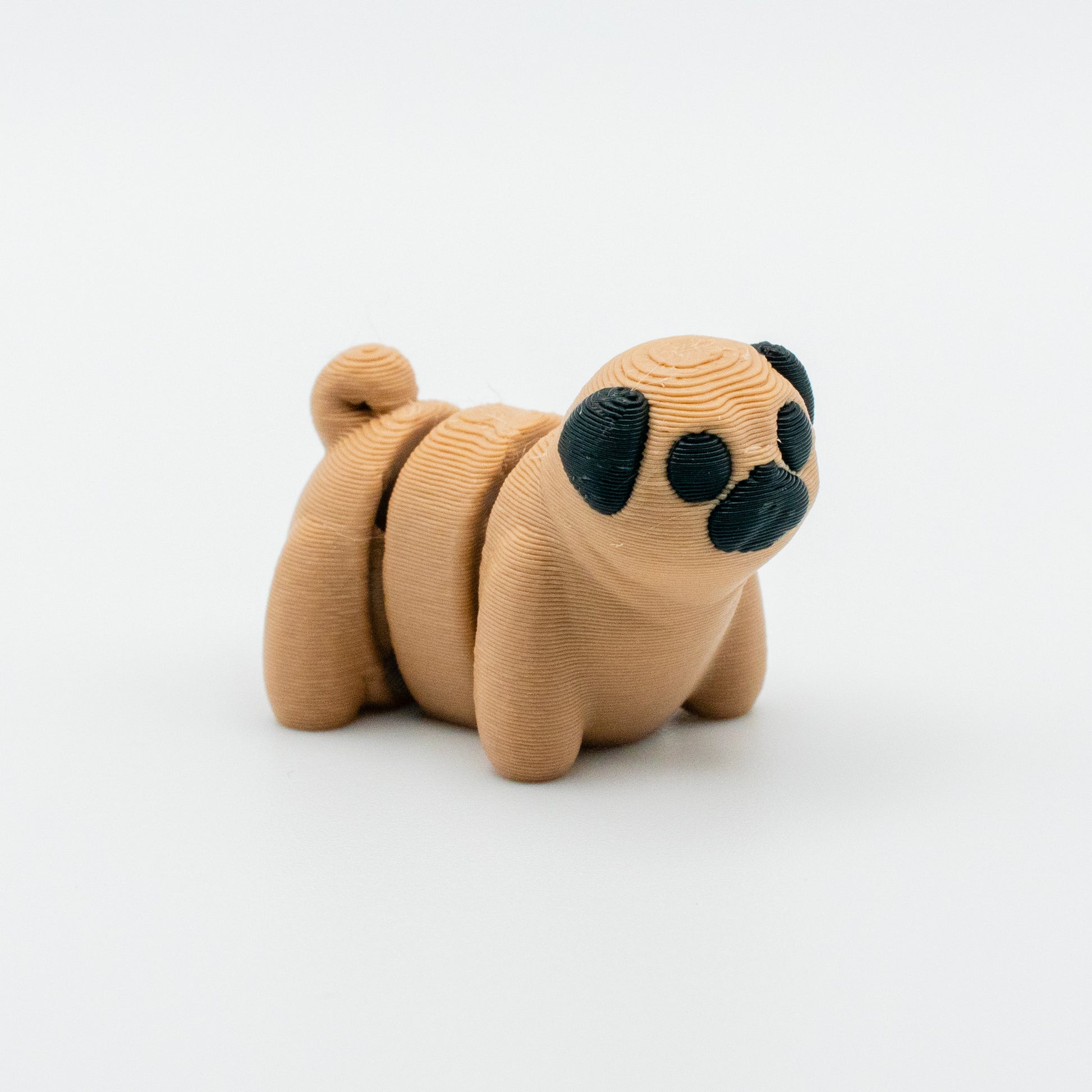 Pugsy Wugsy – The Pocket-Sized Pug Pal