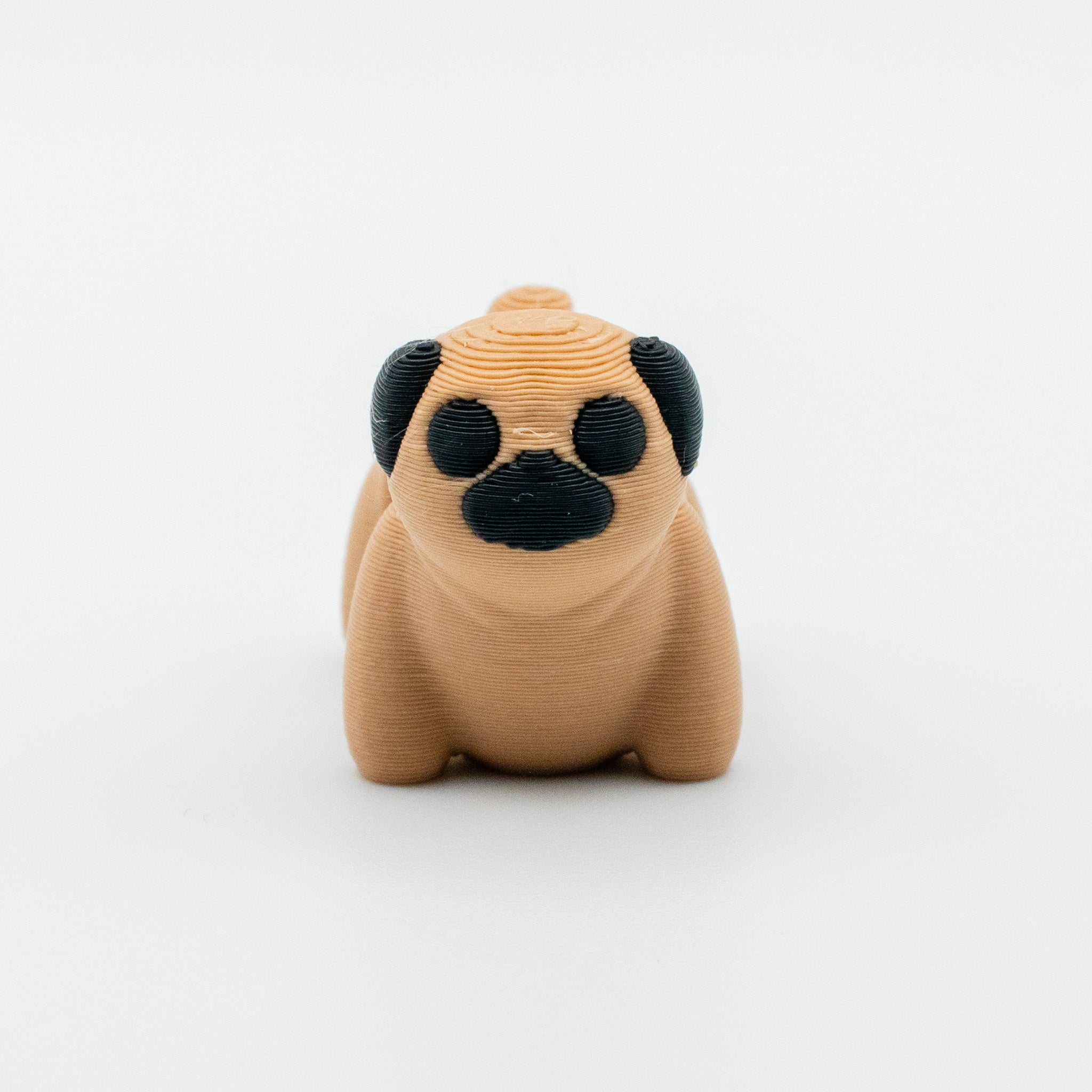 Pugsy Wugsy – The Pocket-Sized Pug Pal