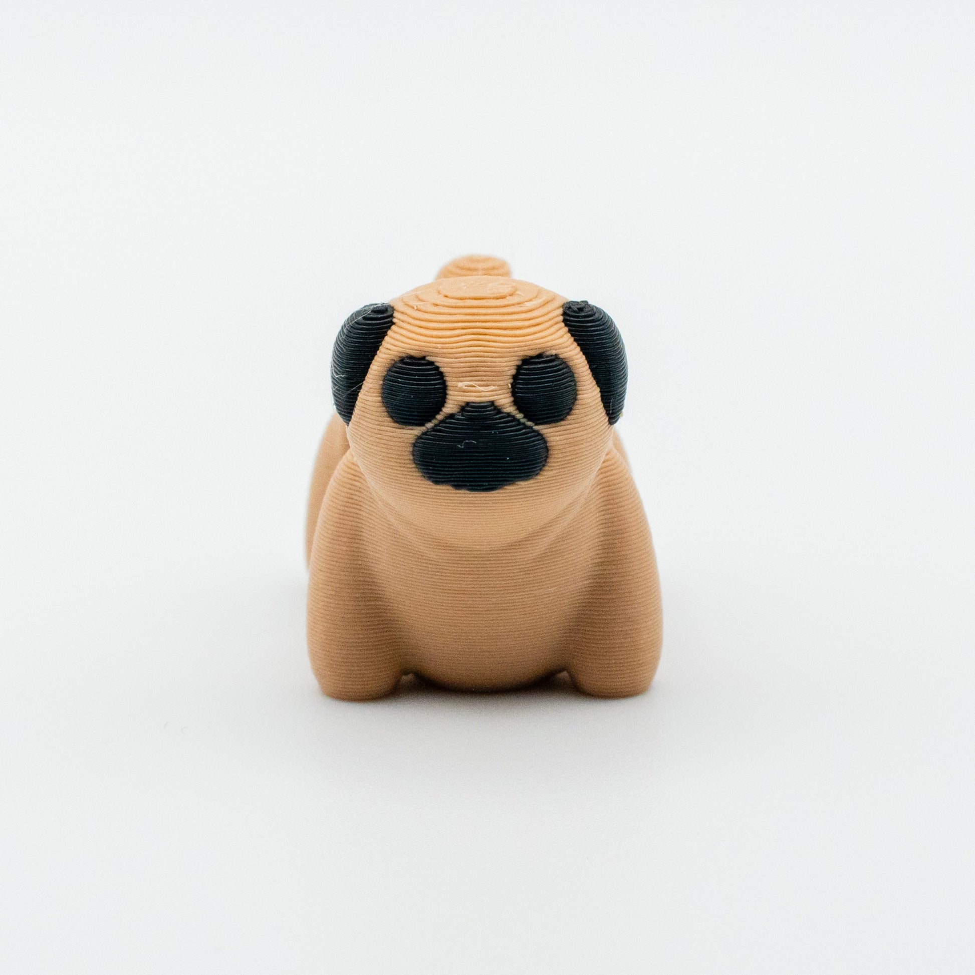Pugsy Wugsy – The Pocket-Sized Pug Pal