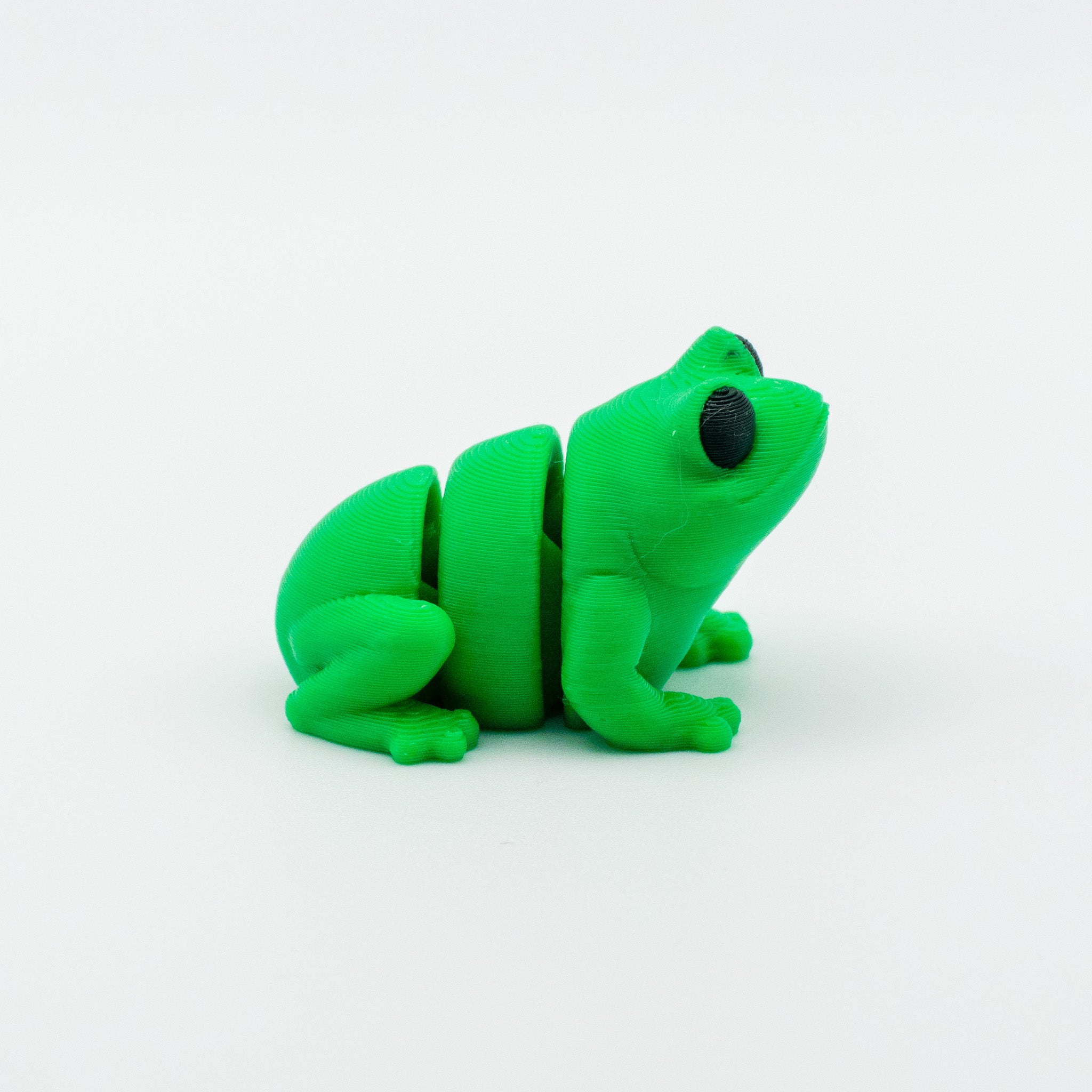 Hoppy McBubbles – The Adorable Flexi Frog Friend