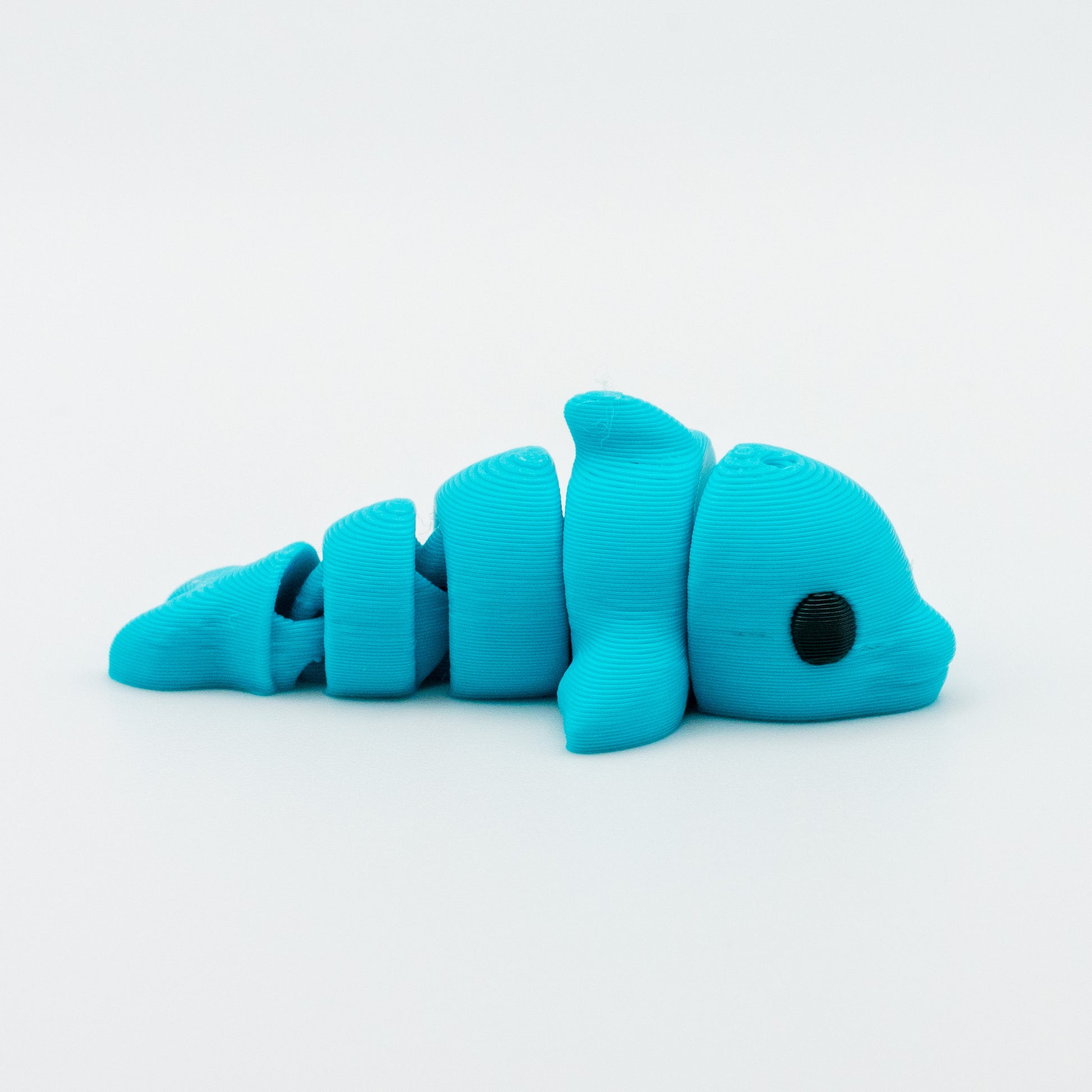 Dolphin