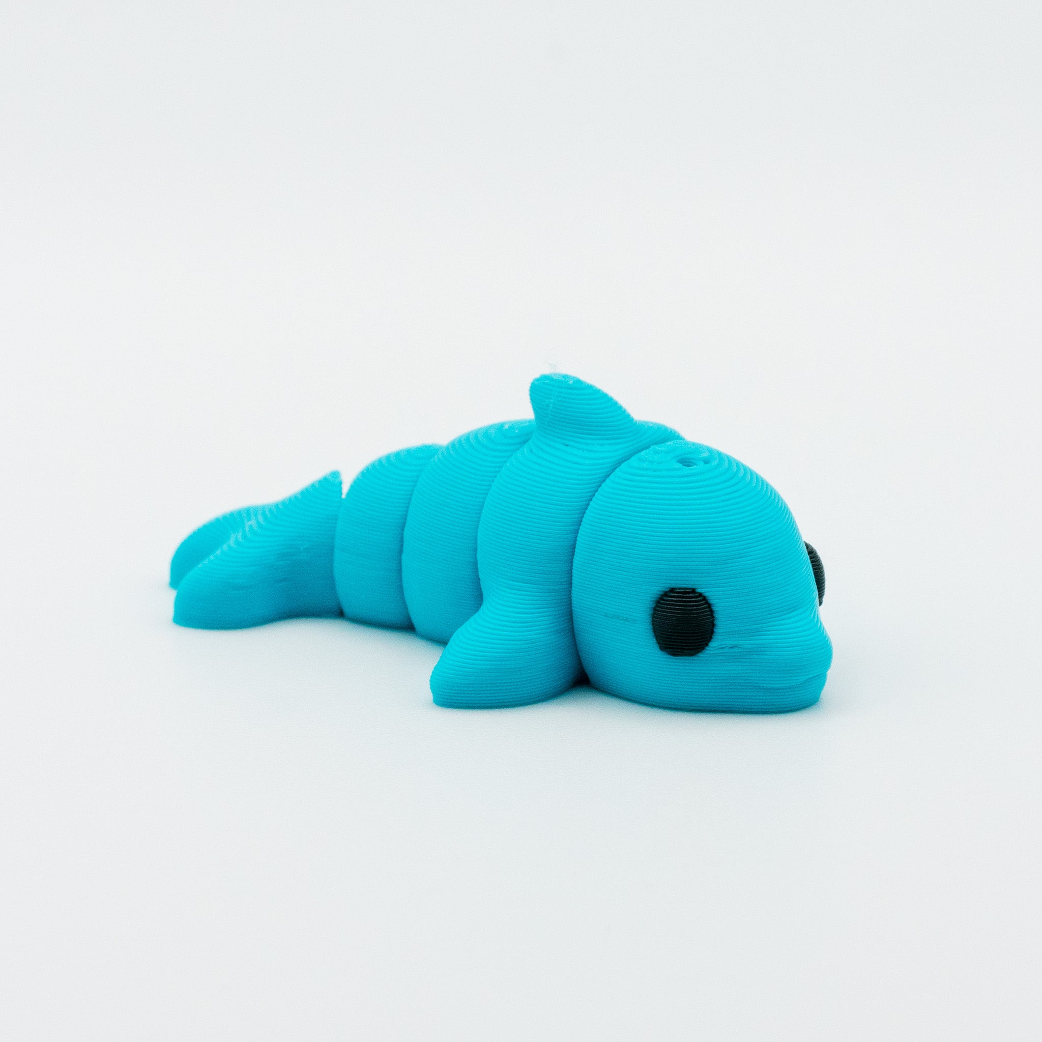 Dolphin