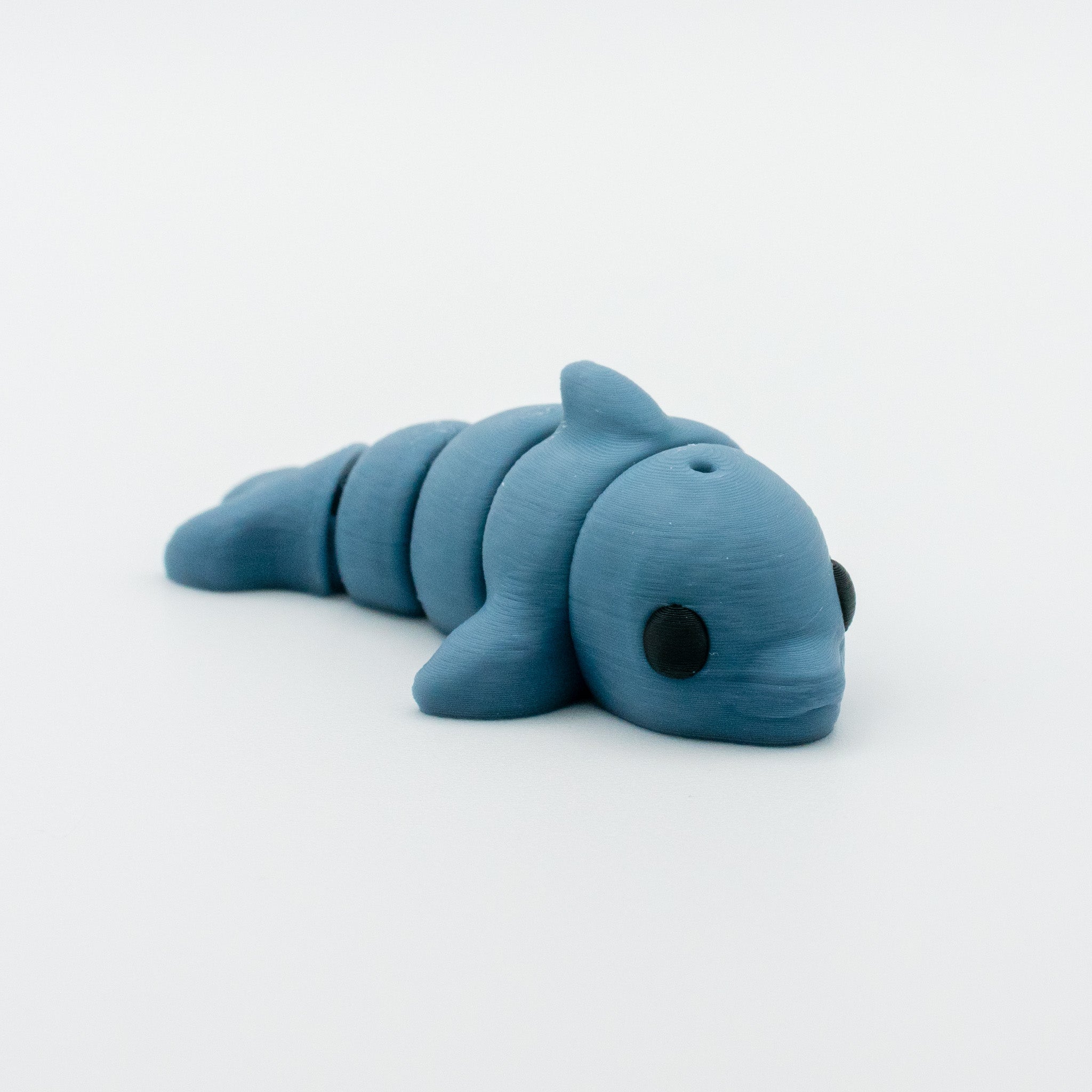Dolphin