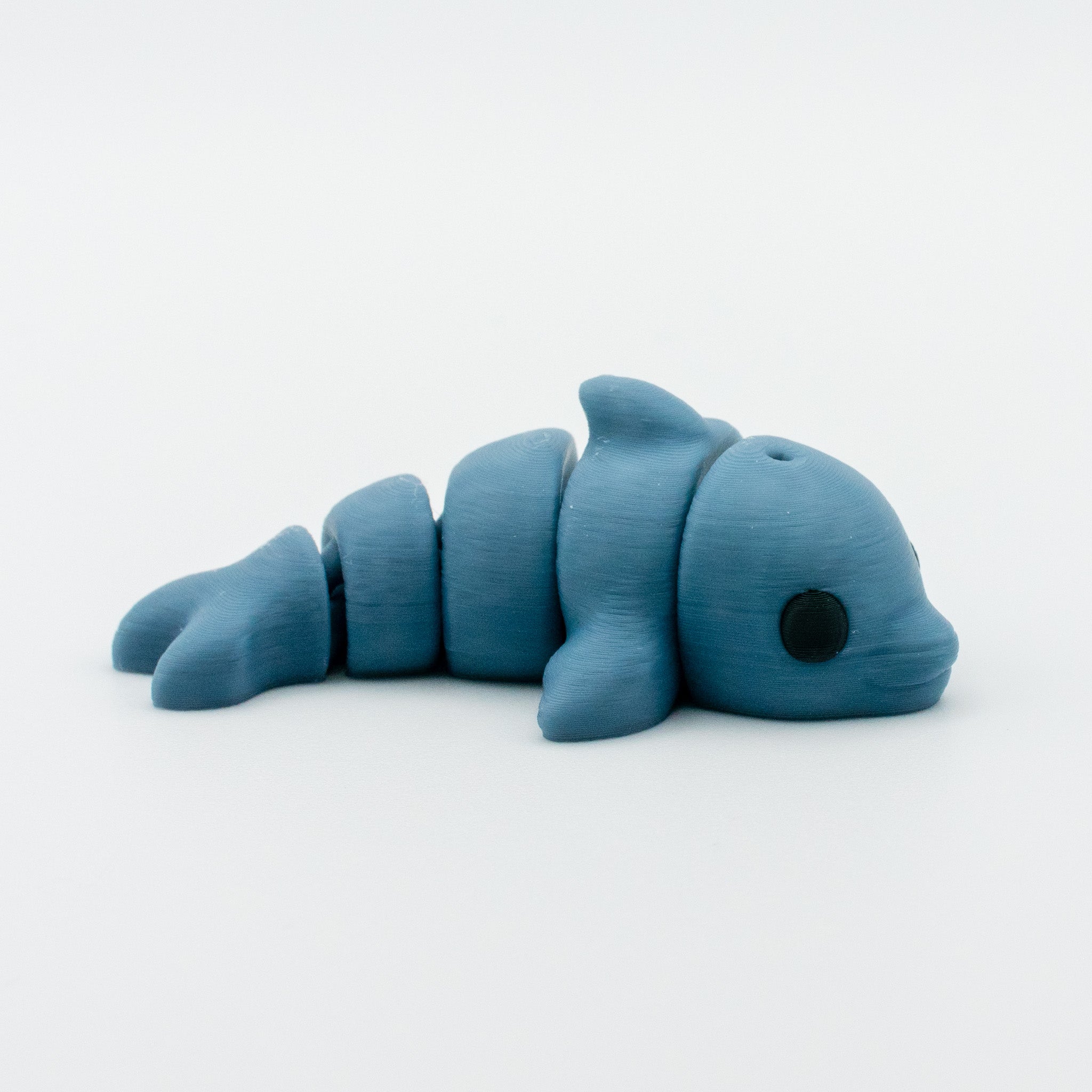 Dolphin
