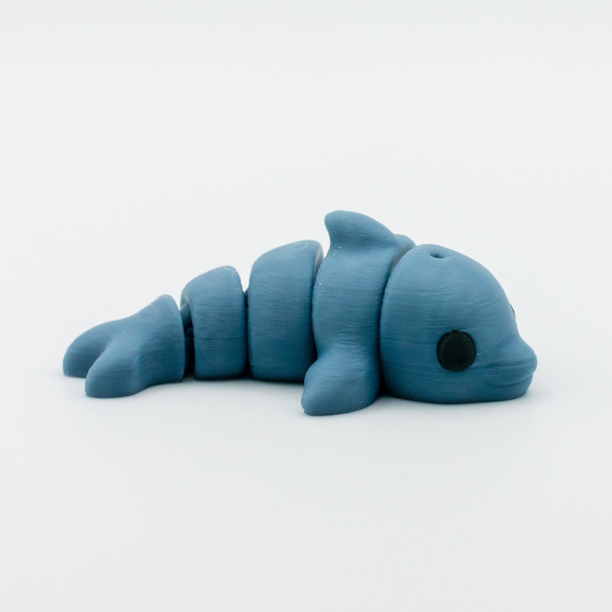Dolphin