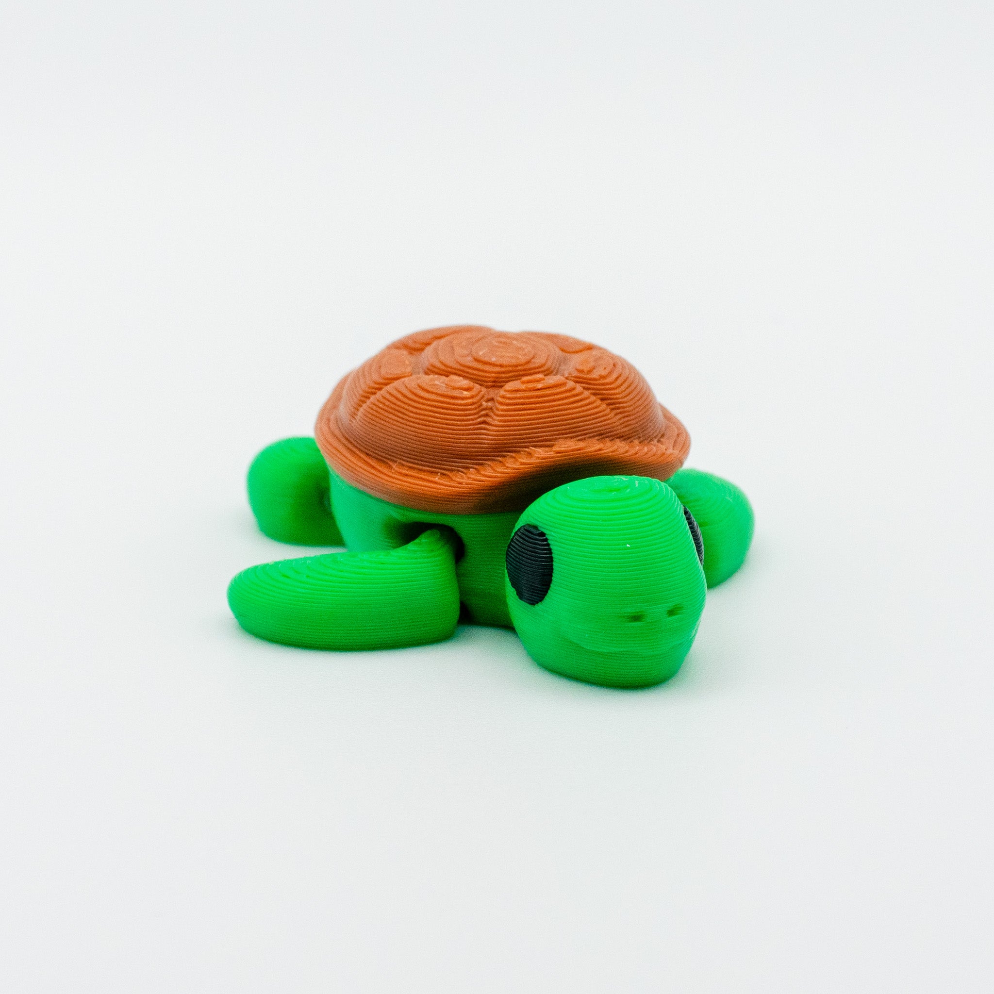Coralina the Sea Turtle – Ocean Explorer Toy