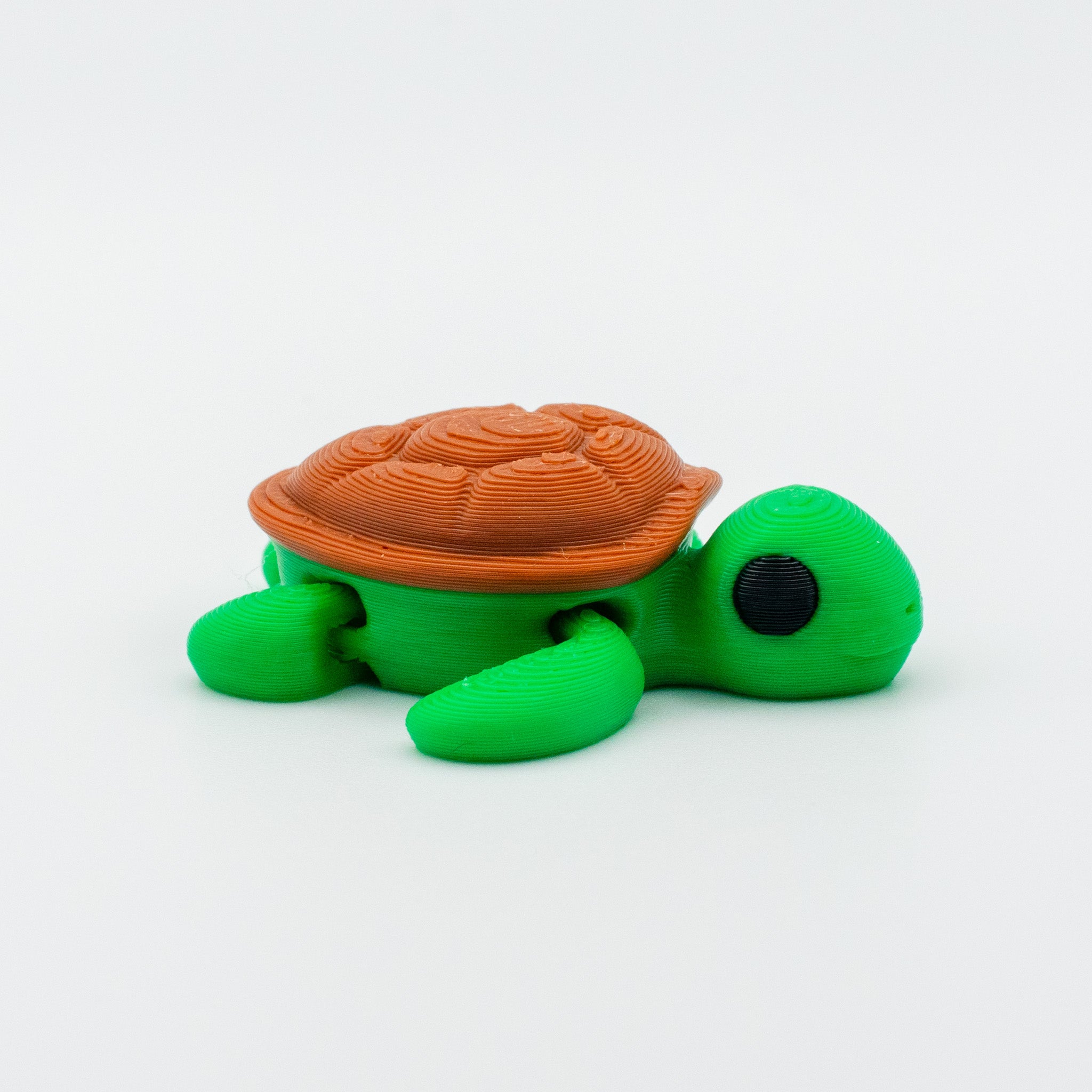 Coralina the Sea Turtle – Ocean Explorer Toy
