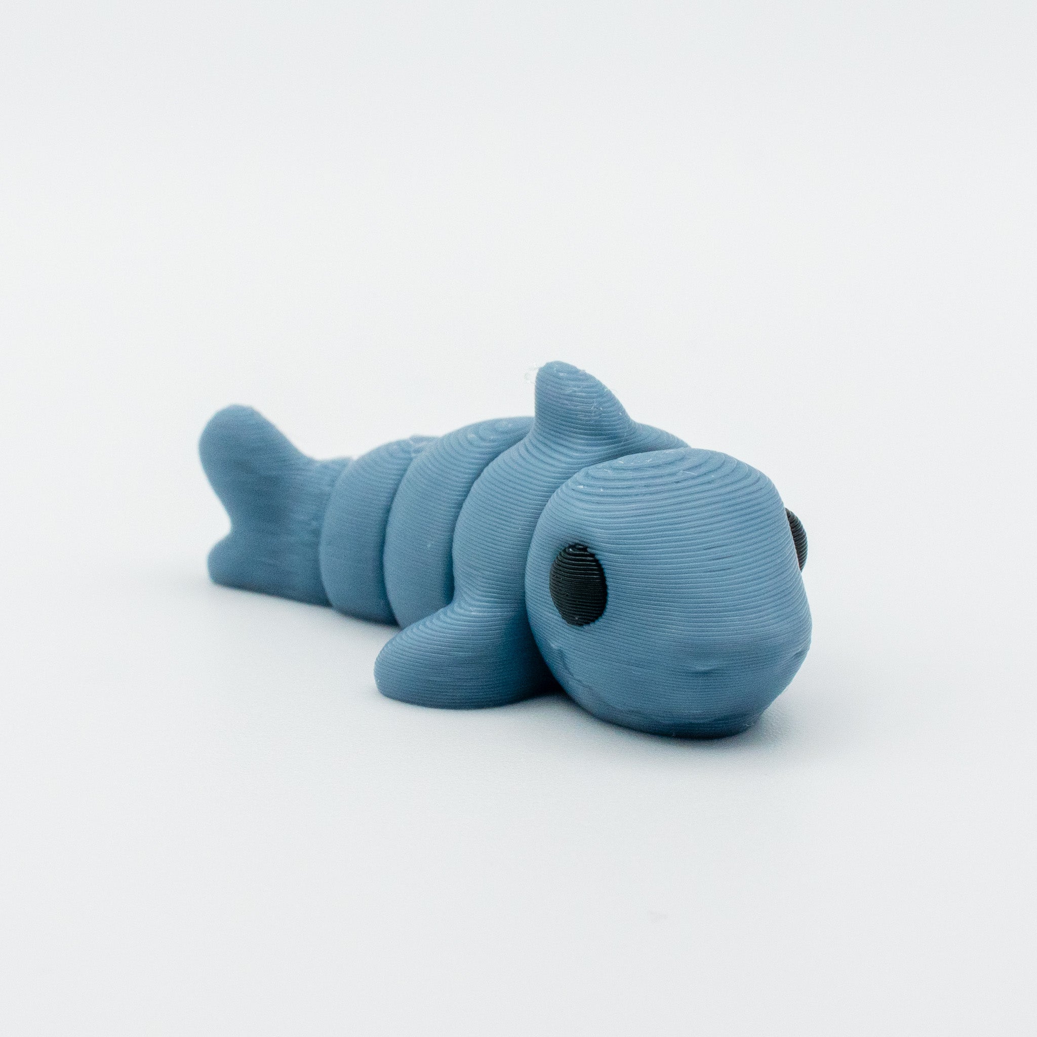 Waverly – The Friendly Shark