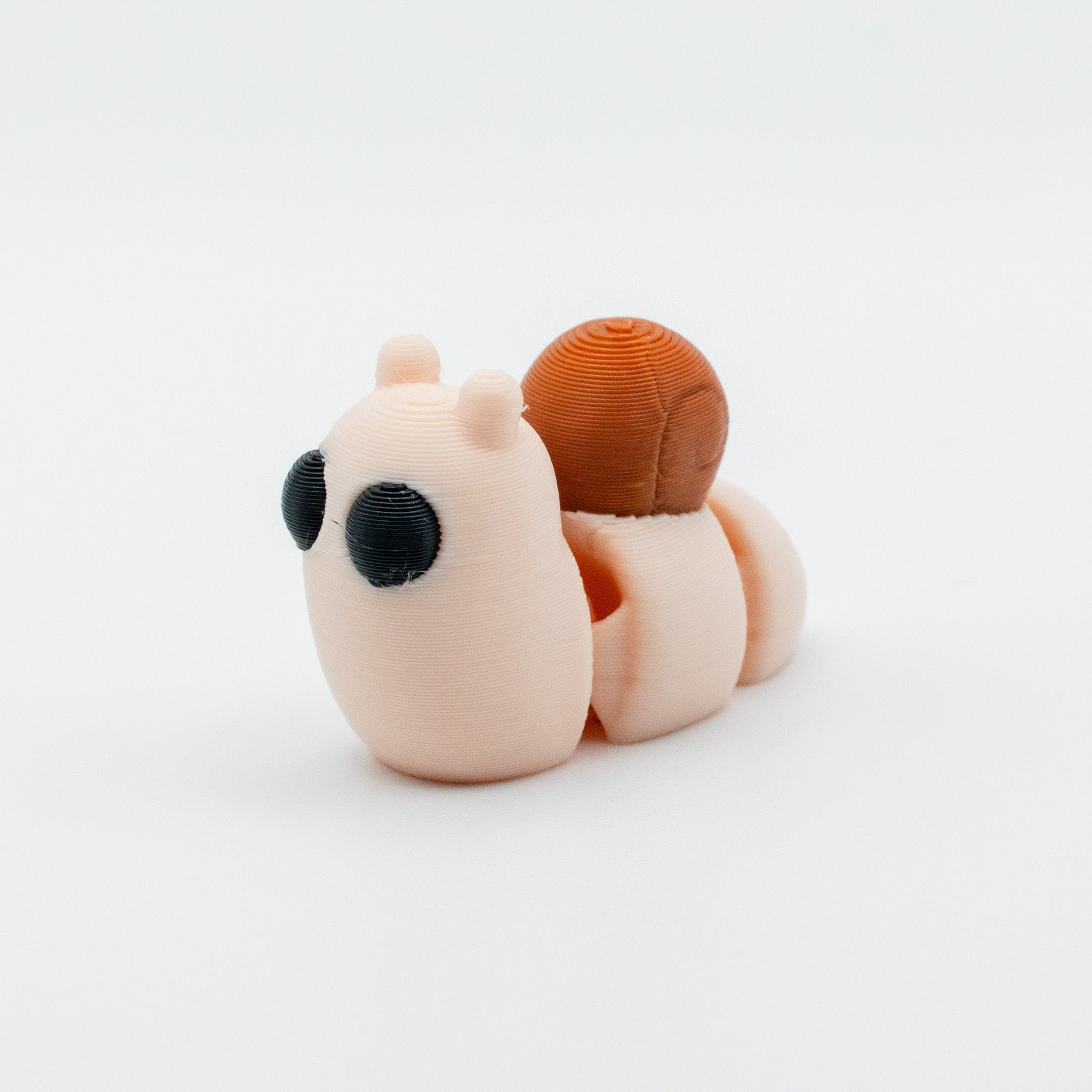 Snail