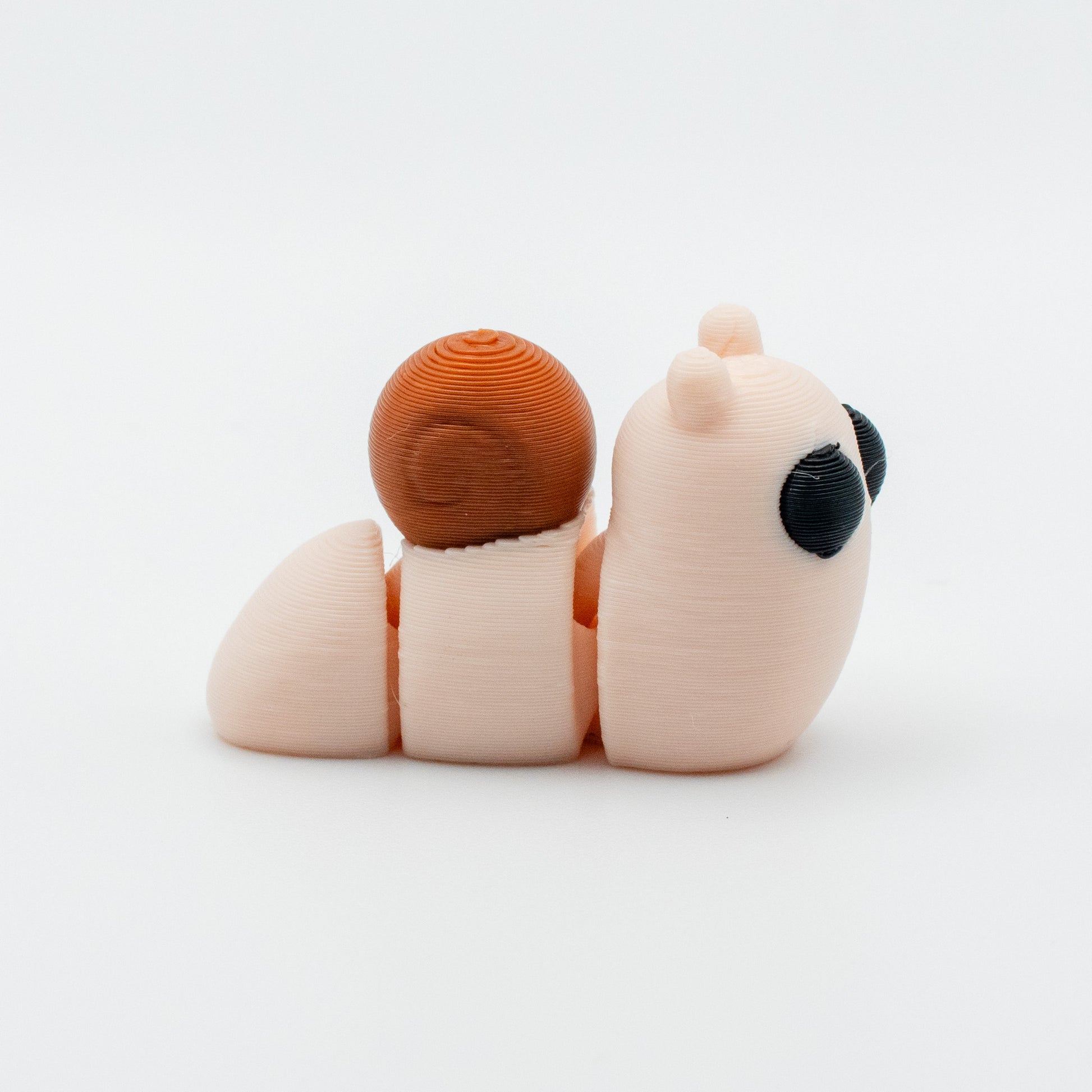 Snail