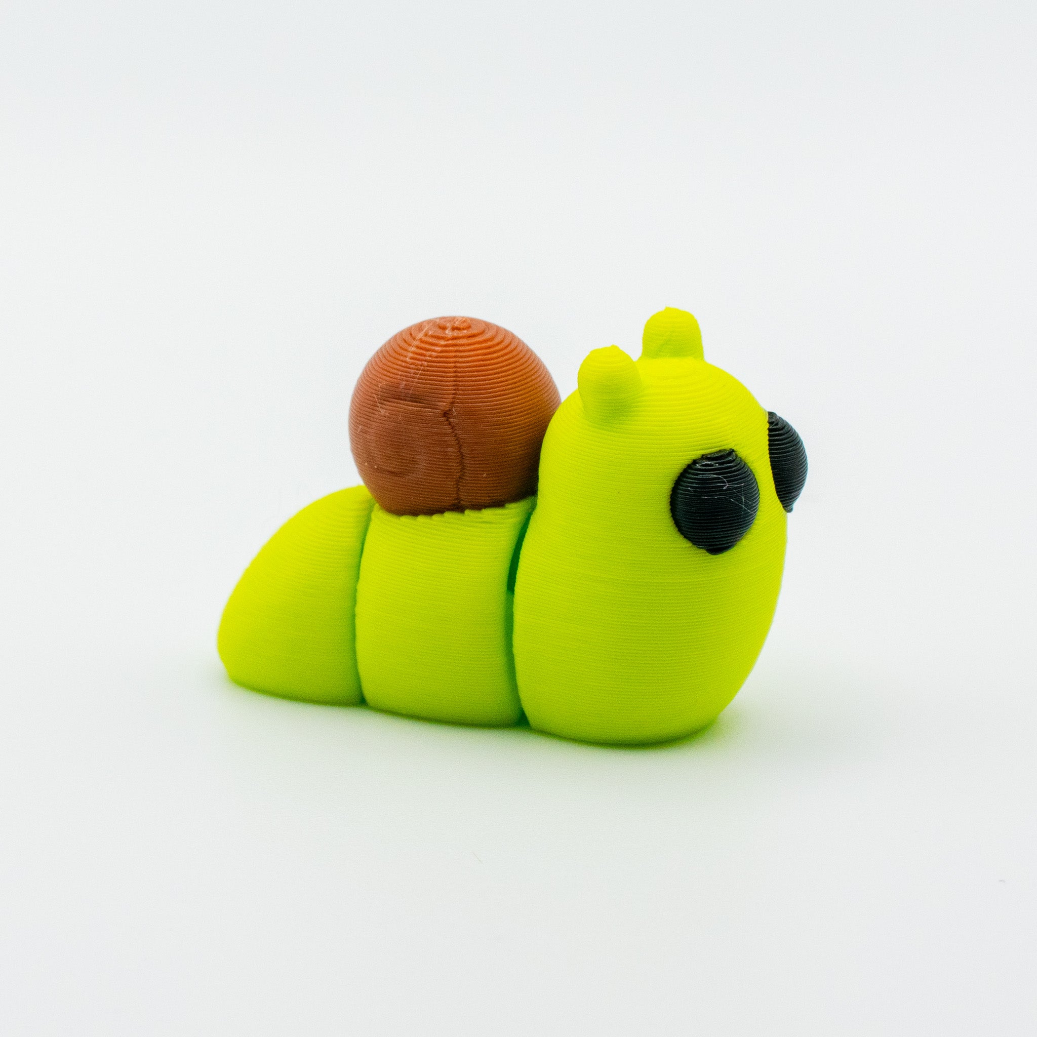Snail