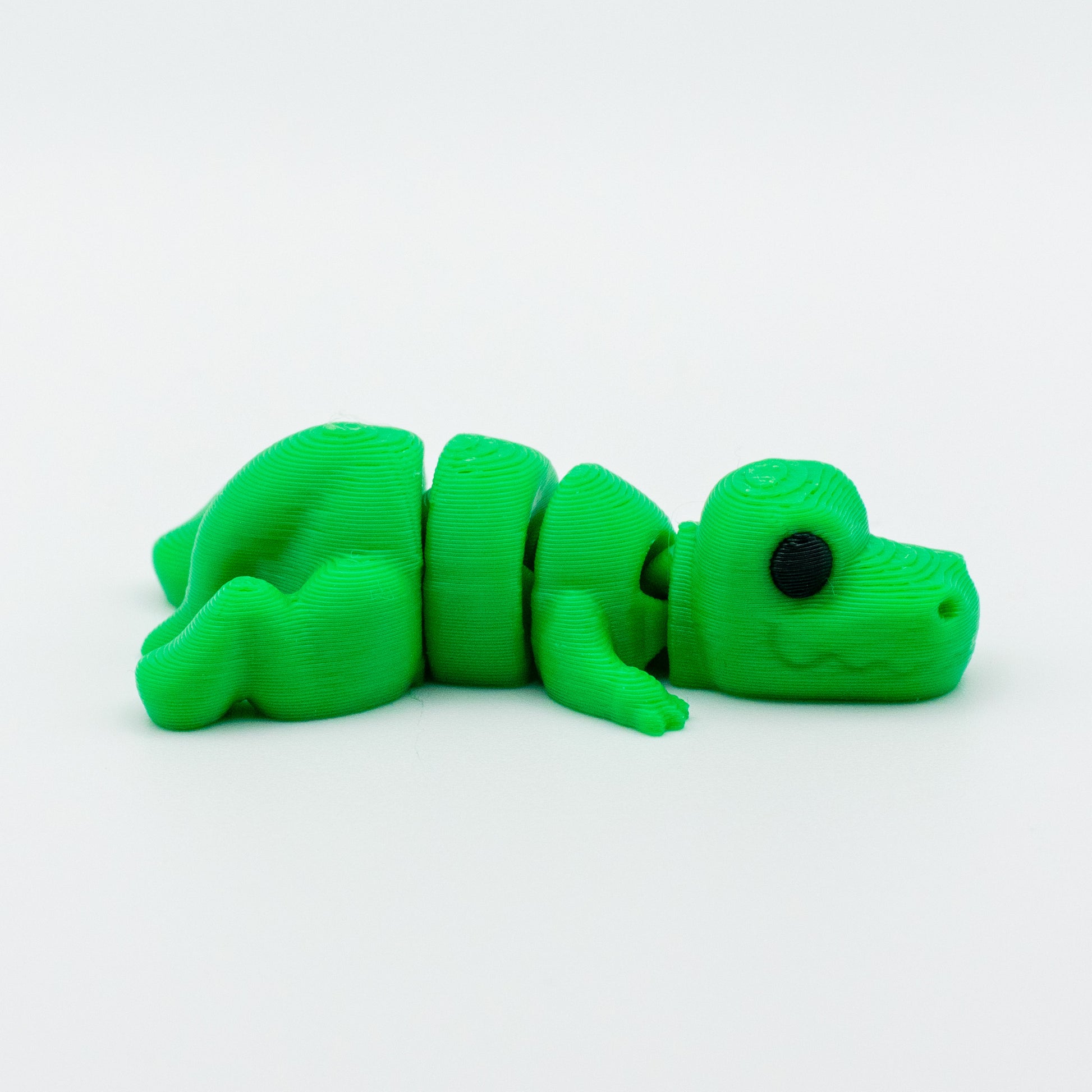 Snugglechomp the Tiny T-Rex
