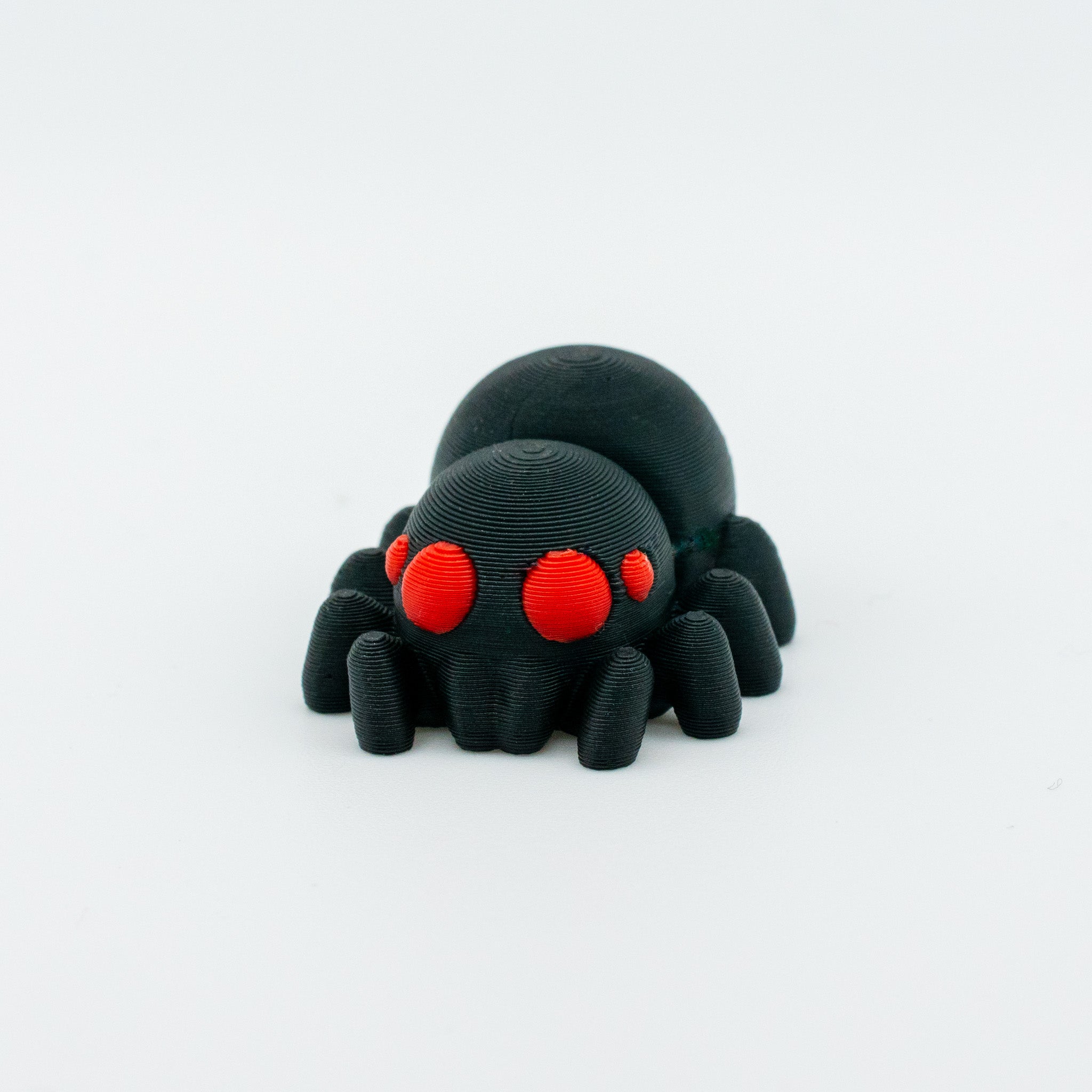 Jumping Spider